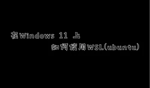 在Windows 11 上如何使用WSL(ubuntu)